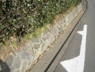 玉石空積み擁壁